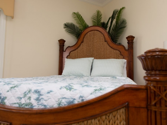 Bed with light brown, rattan / woven details, large tropical plant behind the headboard