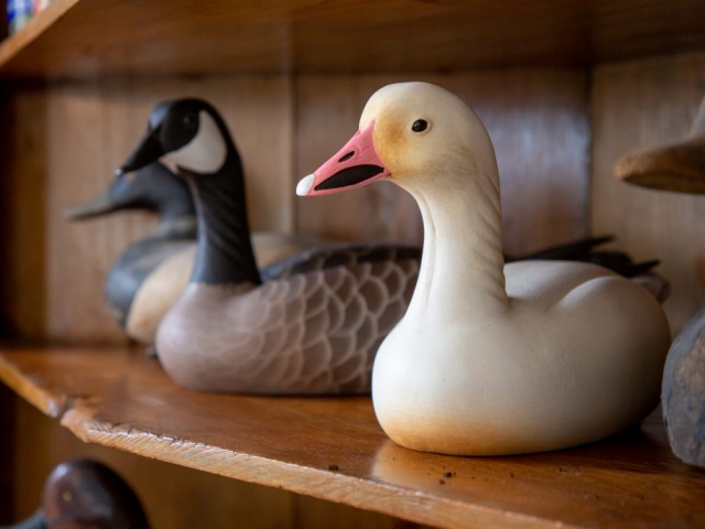 decoy carved realistic ducks and geese