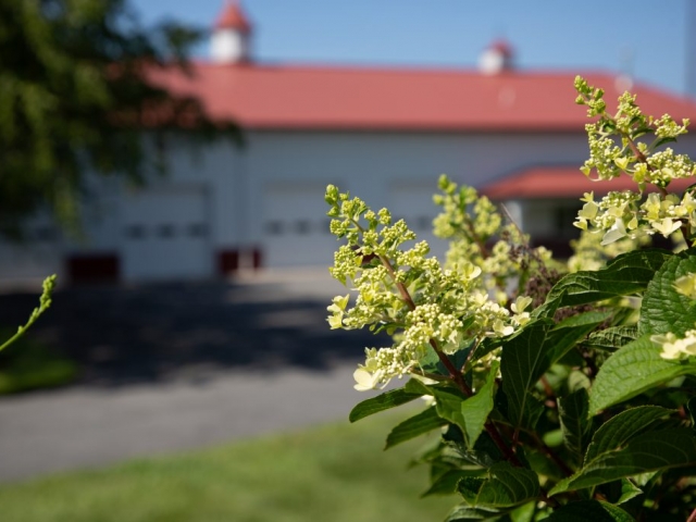 Flowers in the foreground of the red roof Pole Barn