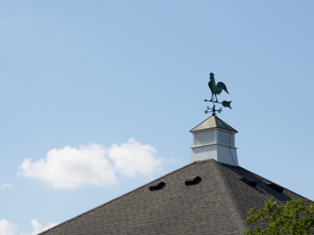 Wind Direction Arrow with Rooster on roof
