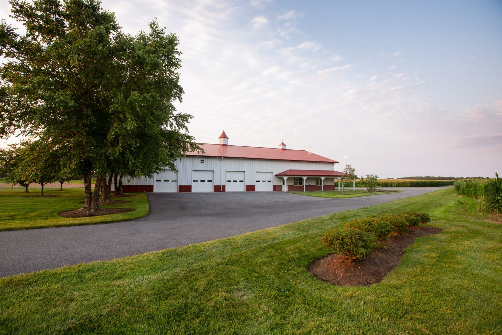 grass and bushes foreground, red roof barn background
